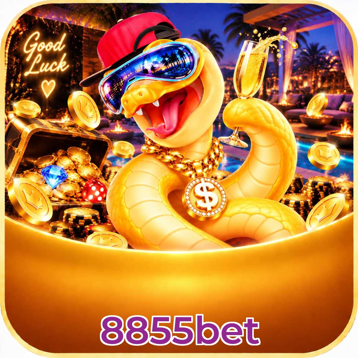 8855bet