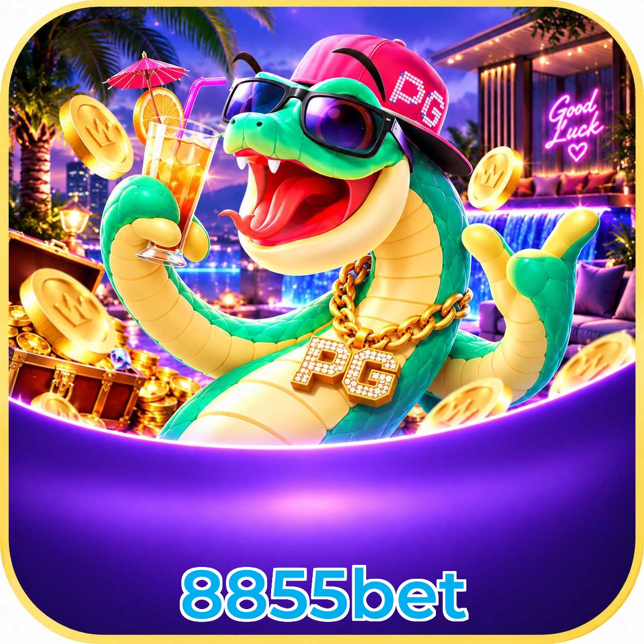 8855bet